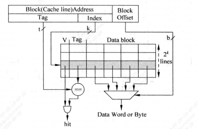 image-20250828093111007
