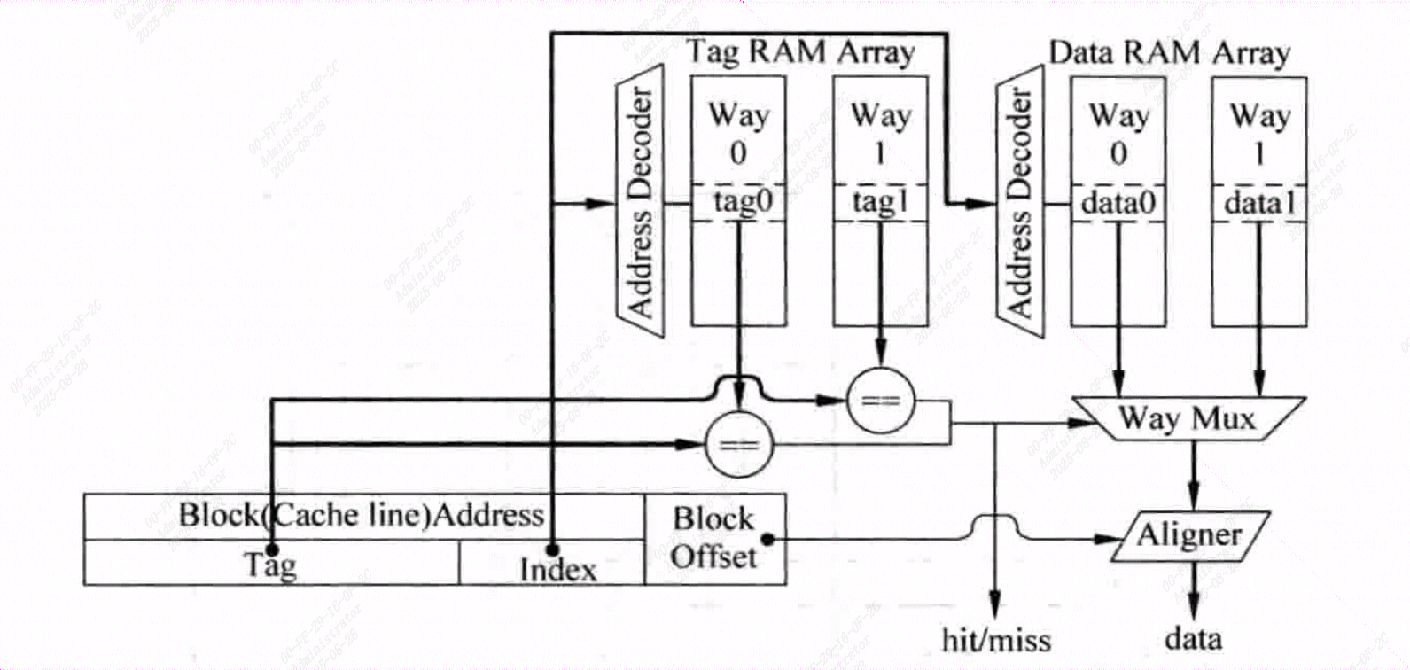 image-20250828192438625