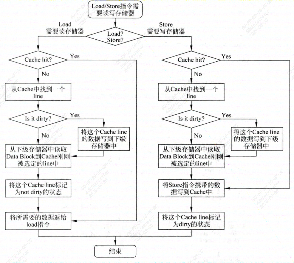 image-20250830103915892