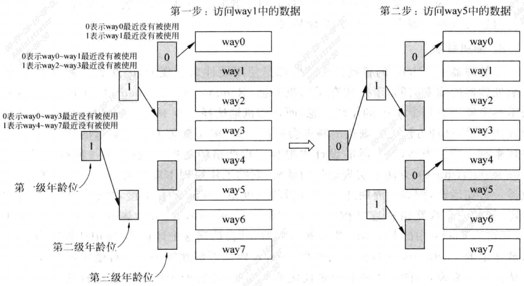 image-20250830145824667